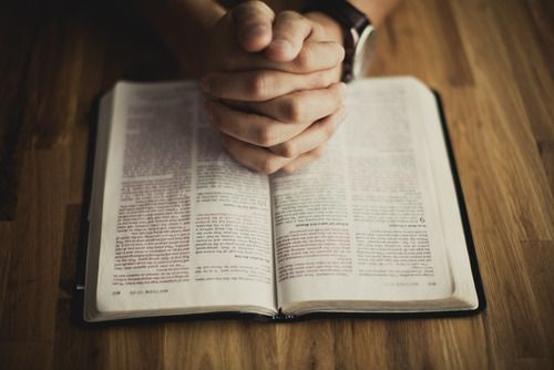 Discipular
